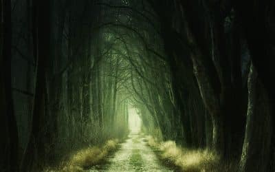 How Can I Build Faith and Trust?